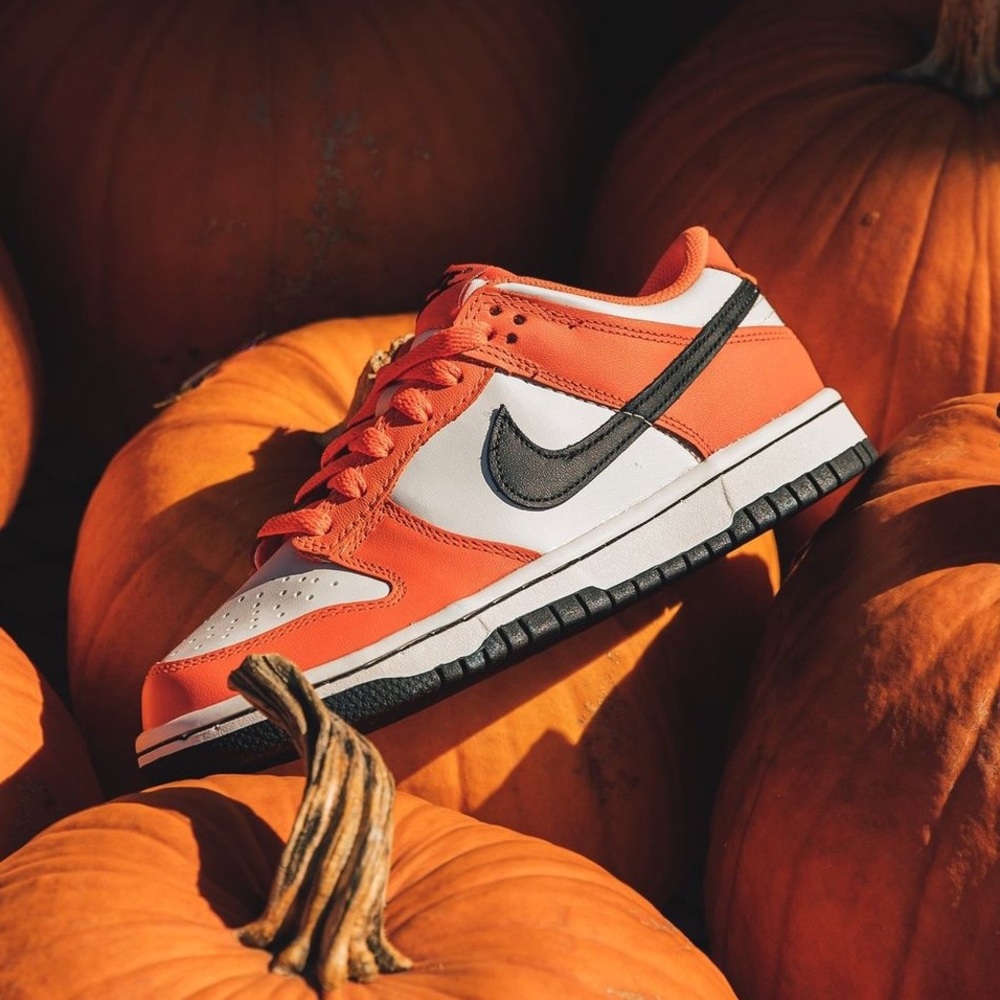 Nike Dunk Low 🔥